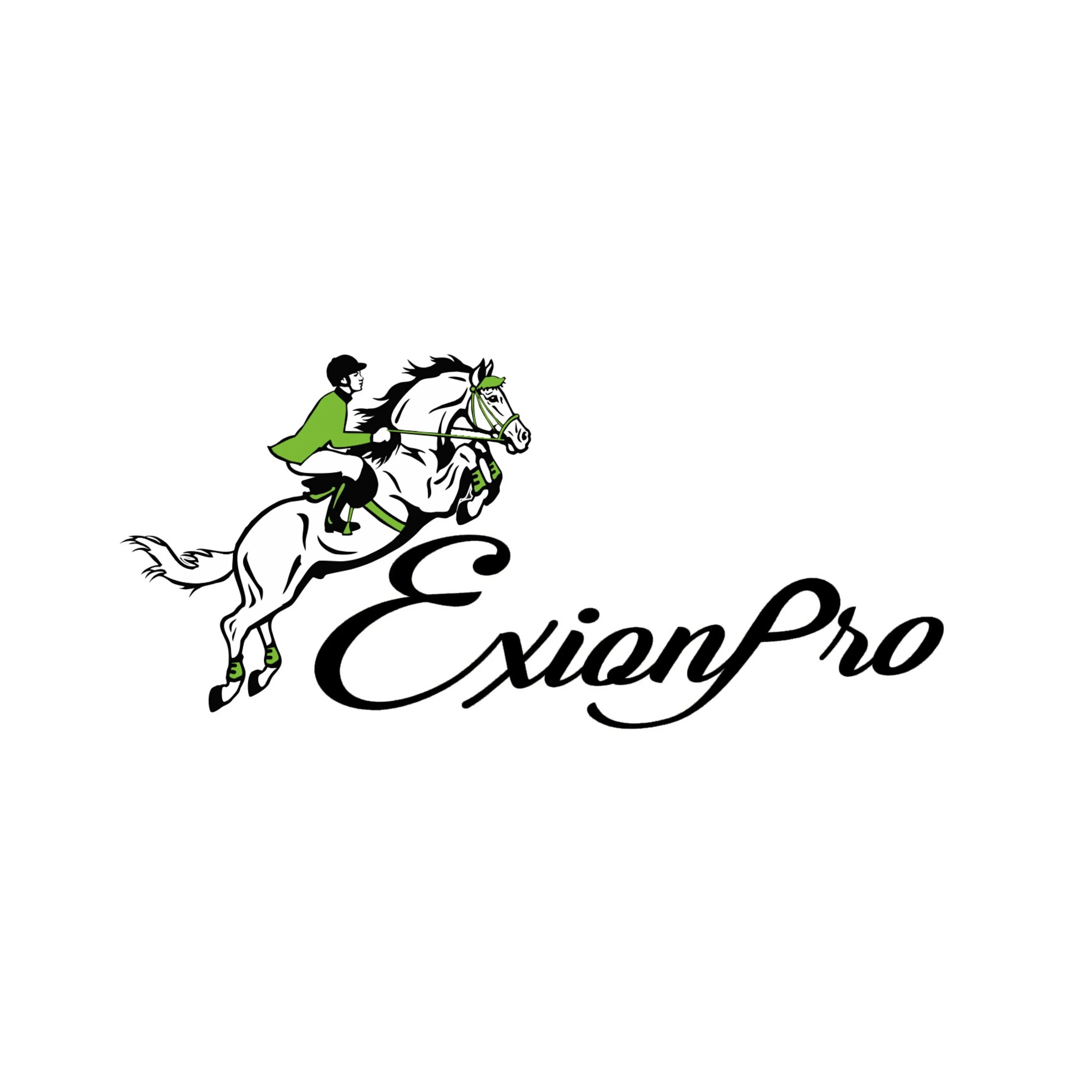 ExionPro Leather Horse Tendon Show Jump Boots - 402